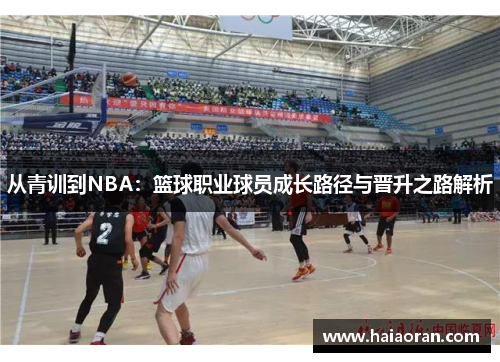 从青训到NBA：篮球职业球员成长路径与晋升之路解析